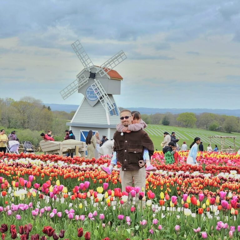 Experiencing the Tulip Season: A Taste of a Mini Dutch Village in Crawley, England